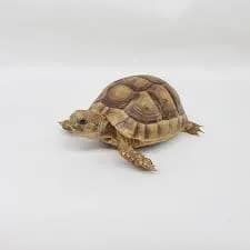 연락처 테스트1