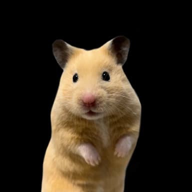 햄스터키우기동아리